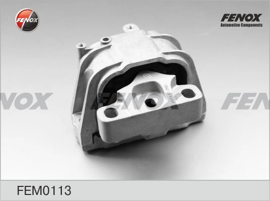 FEM0113