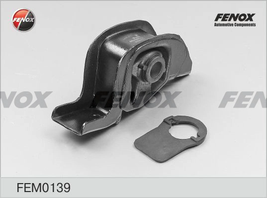 FEM0139