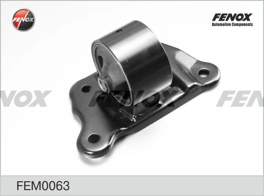 FEM0063