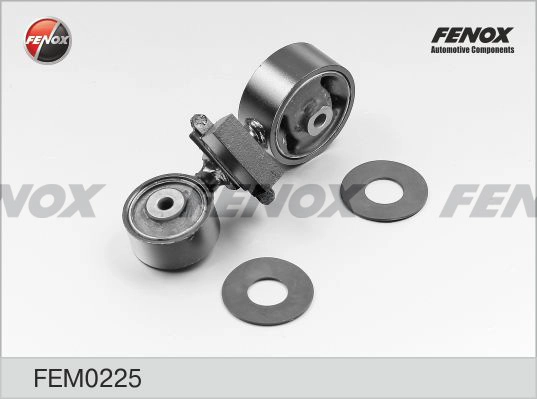 FEM0225