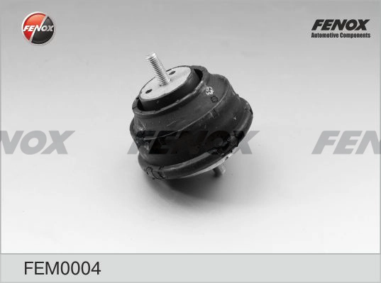 FEM0004