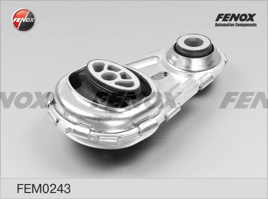 FEM0243