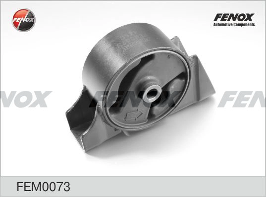 FEM0073