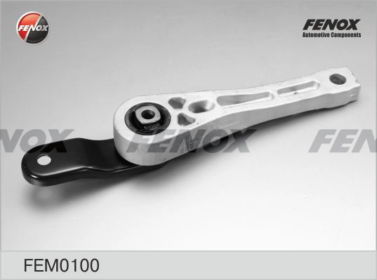 FEM0100