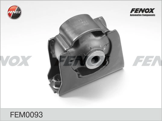 FEM0093