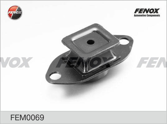 FEM0069
