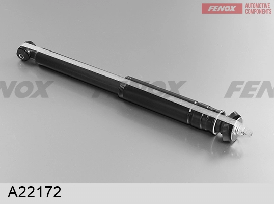 A22172