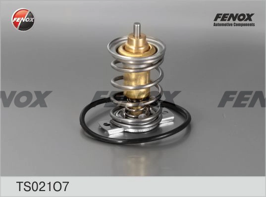 TS021O7