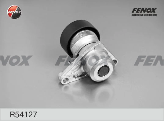 R54127