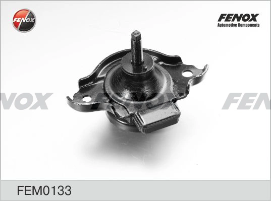 FEM0133