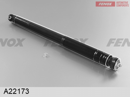 A22173