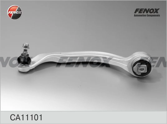 CA11101