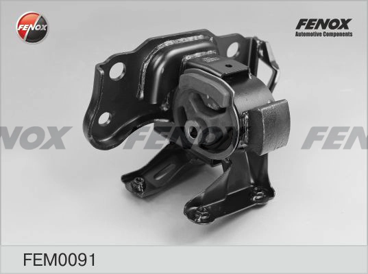 FEM0091