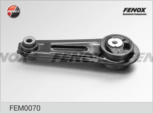 FEM0070