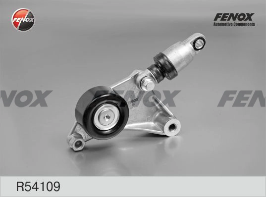 R54109
