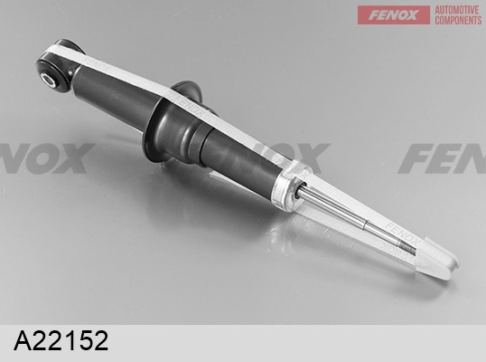 A22152