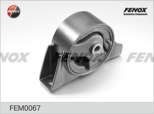 FEM0067