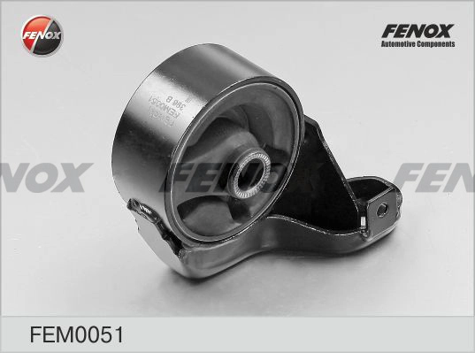 FEM0051