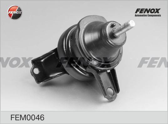 FEM0046