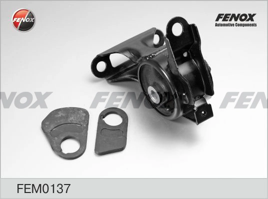 FEM0137