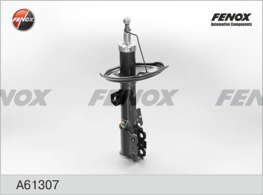 A61307