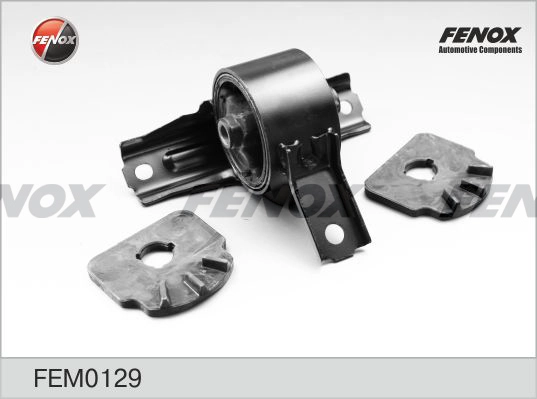 FEM0129