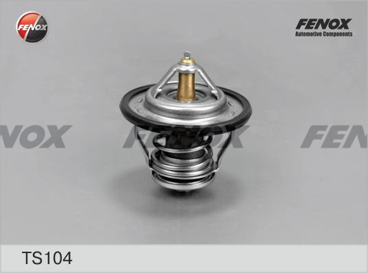 TS104