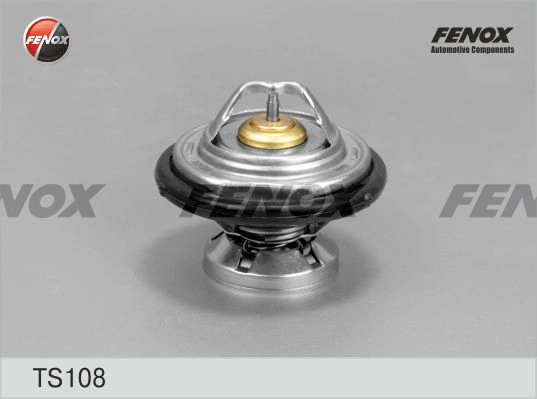 TS108