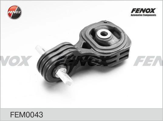 FEM0043