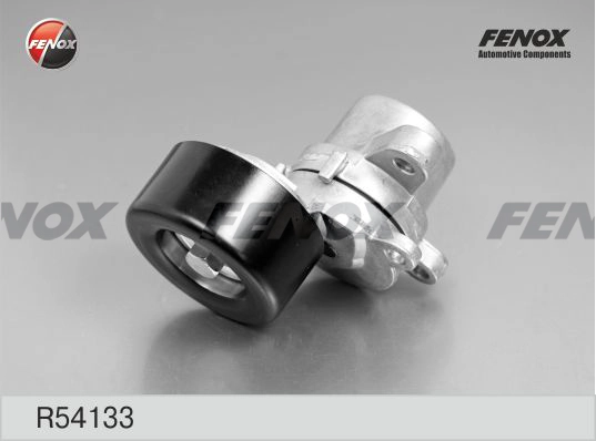 R54133