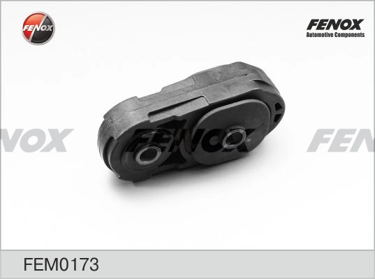 FEM0173