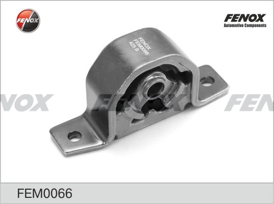 FEM0066