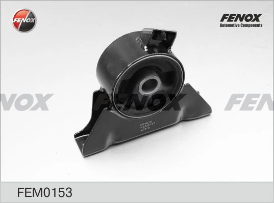 FEM0153