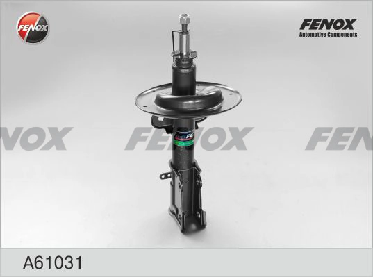 A61031