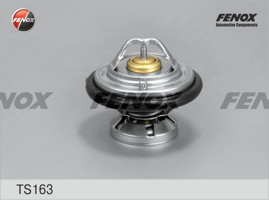 TS163