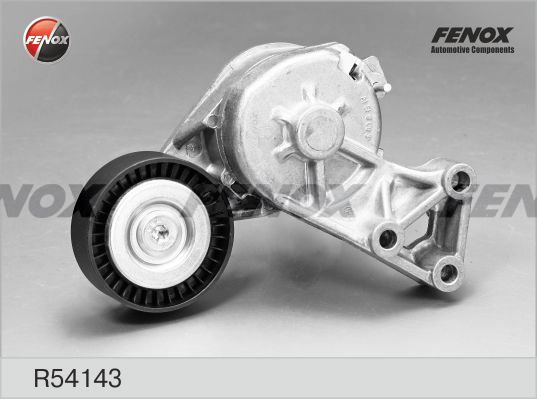 R54143