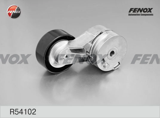 R54102