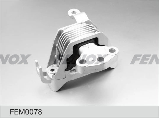 FEM0078