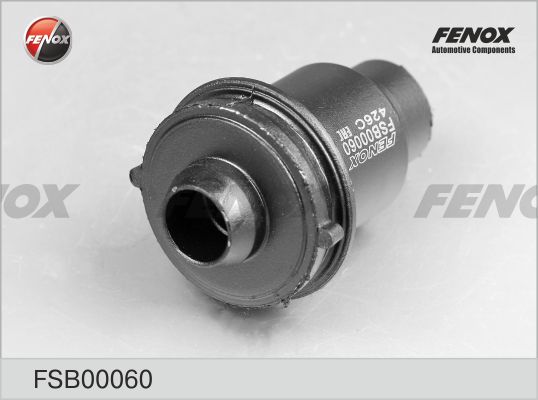 FSB00060