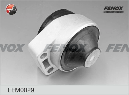 FEM0029