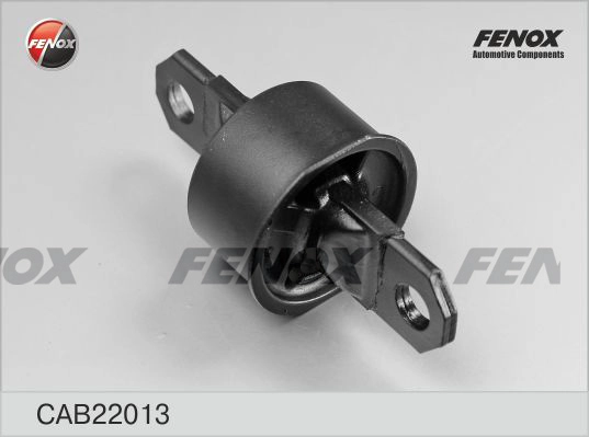 CAB22013