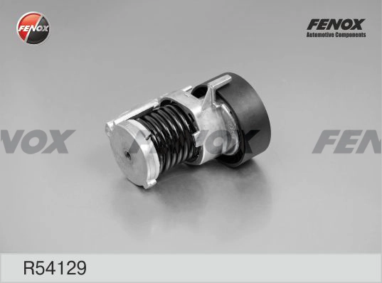 R54129