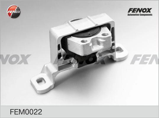 FEM0022