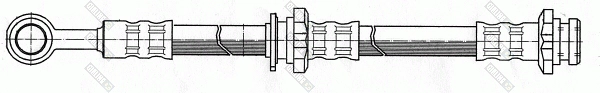 9004137