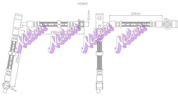 H5809