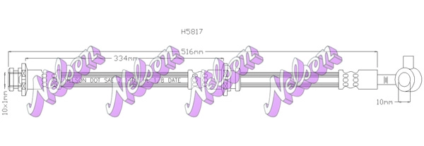 H5817