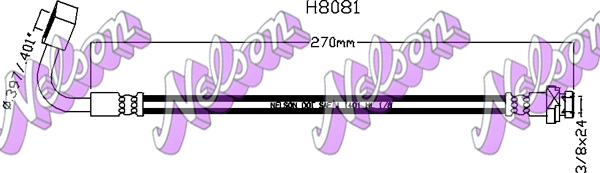 H8081