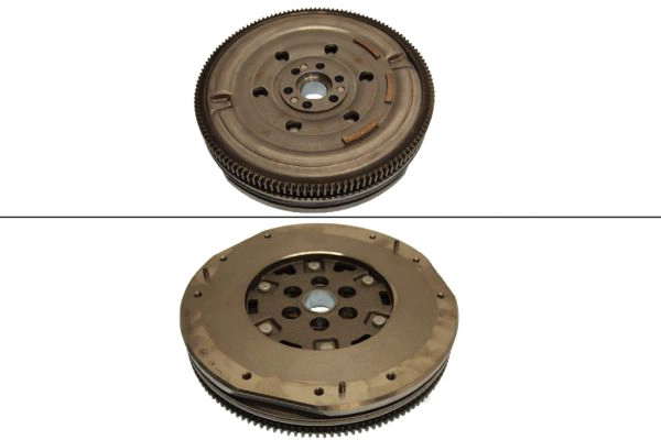 DMF555