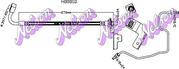 H8081Q