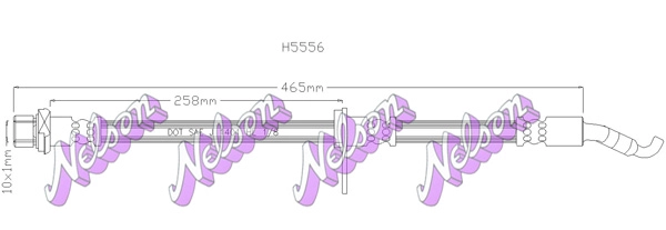 H5556